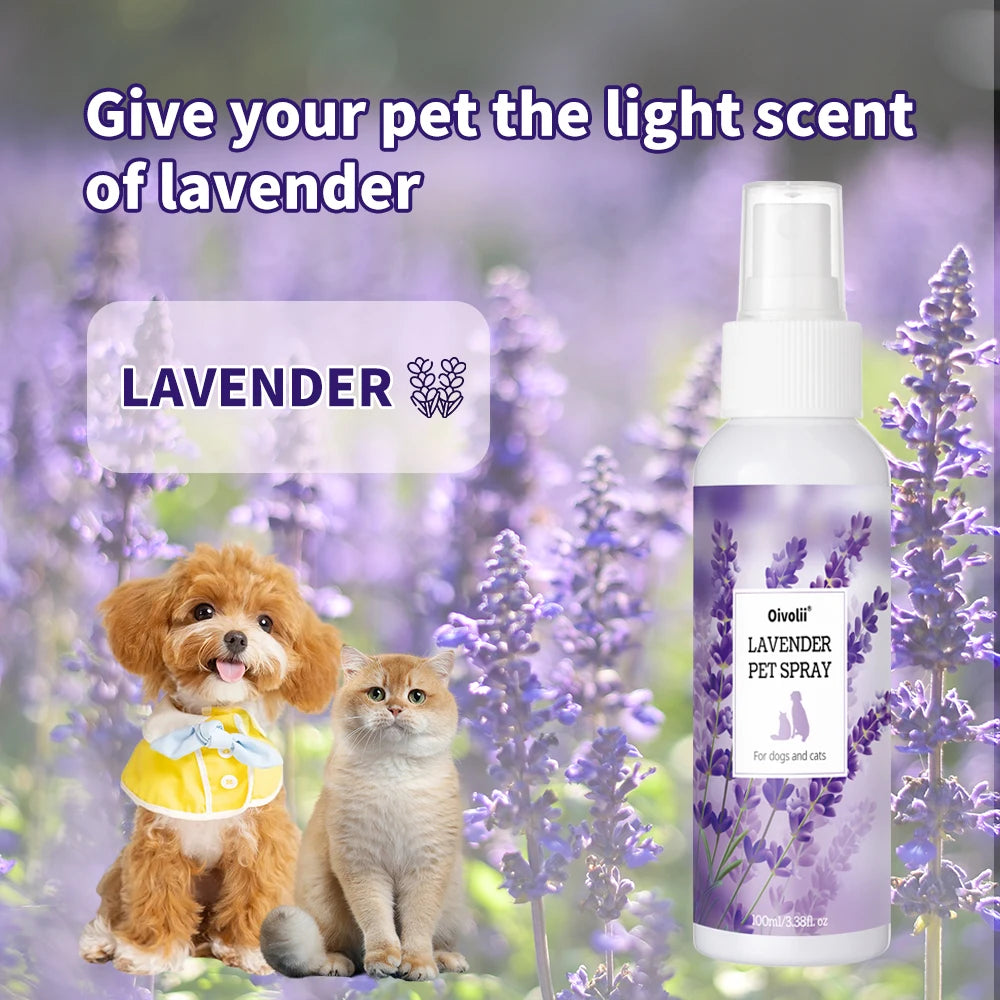 🐾Furtlé Dog💧Shampoo🧼Clean, fresh, and happy 😻Long-Lasting Fresh Scent✨A gentle shampoo that keeps your Cat’s coat soft, shiny, and healthy after every wash 🐾