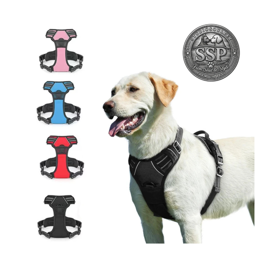 Furtlé Harness-Resistant Belt🐱🔥Durable and safe design and Reflective🐾 comfortable for everyday use🐾 high stability while walking