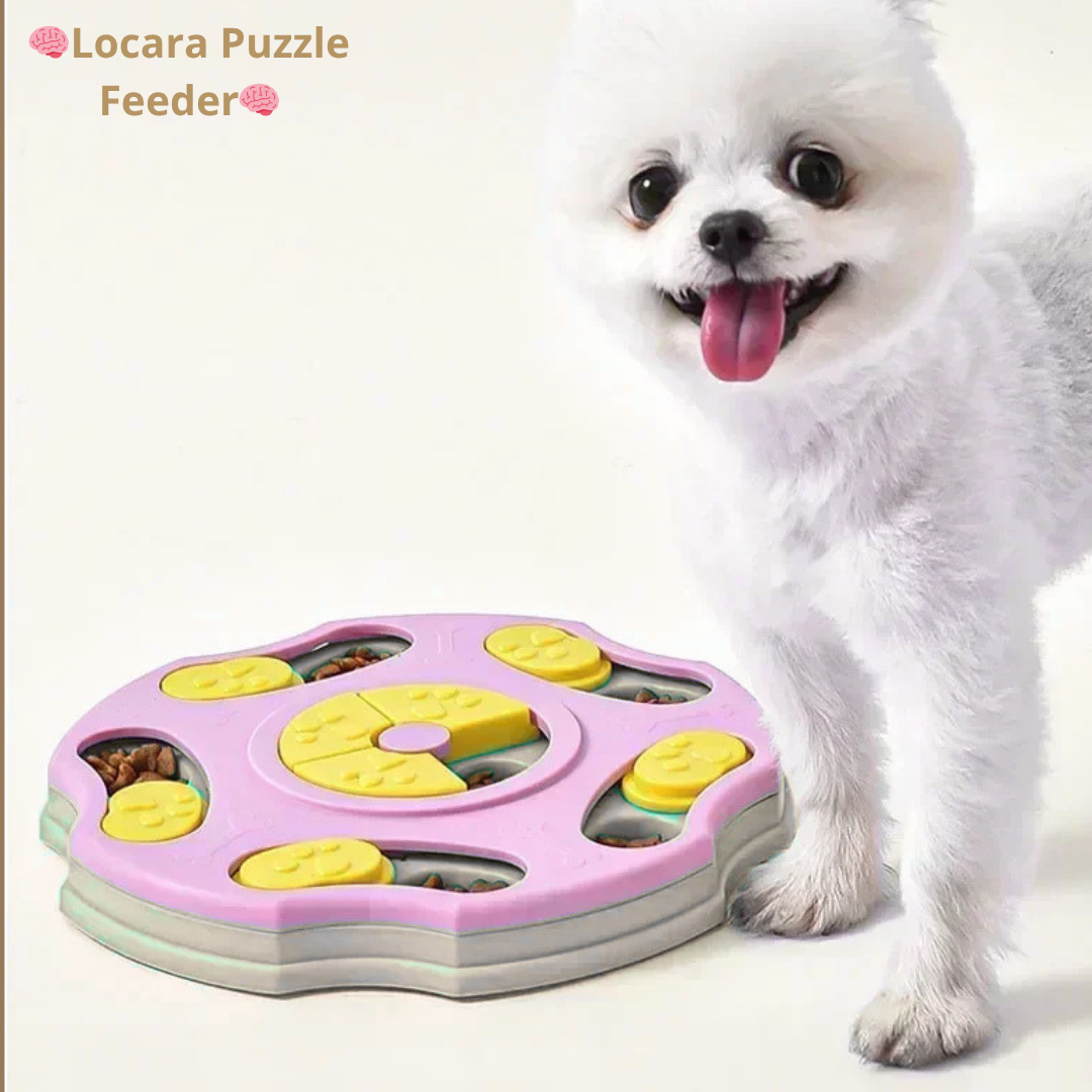 Locara Puzzle Feeder🧠 Stimulates dog intelligence🍖 Dispenses food interactively🐾 Entertainment + Training in one step
