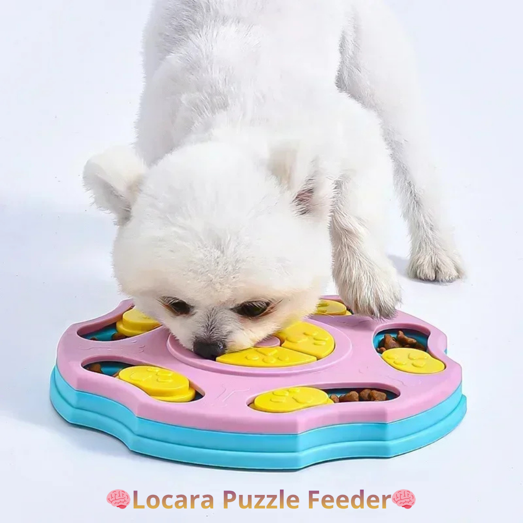 Locara Puzzle Feeder🧠 Stimulates dog intelligence🍖 Dispenses food interactively🐾 Entertainment + Training in one step