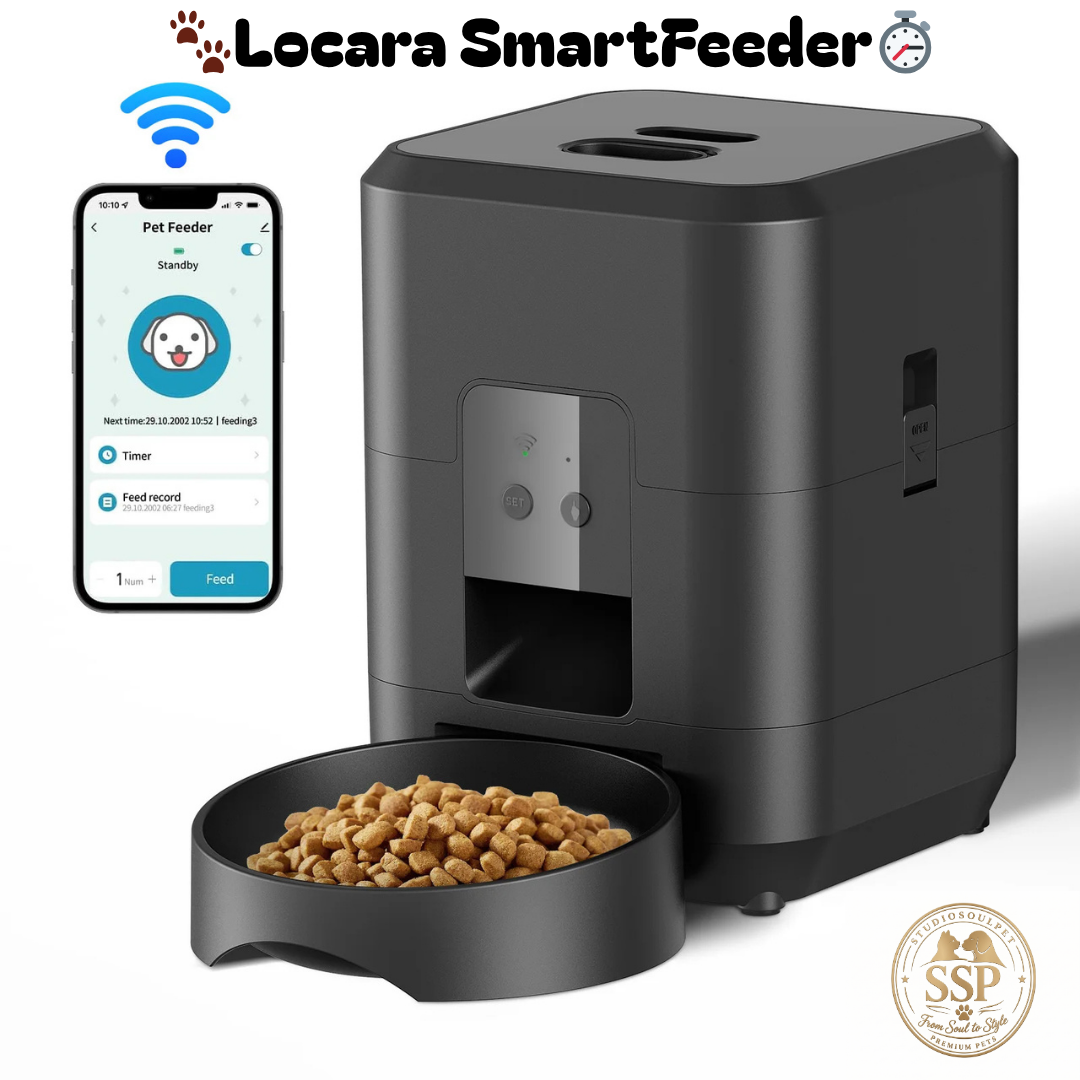 Locara SmartFeeder🐾⏱️ Automatic feeding at the specified time without daily effort