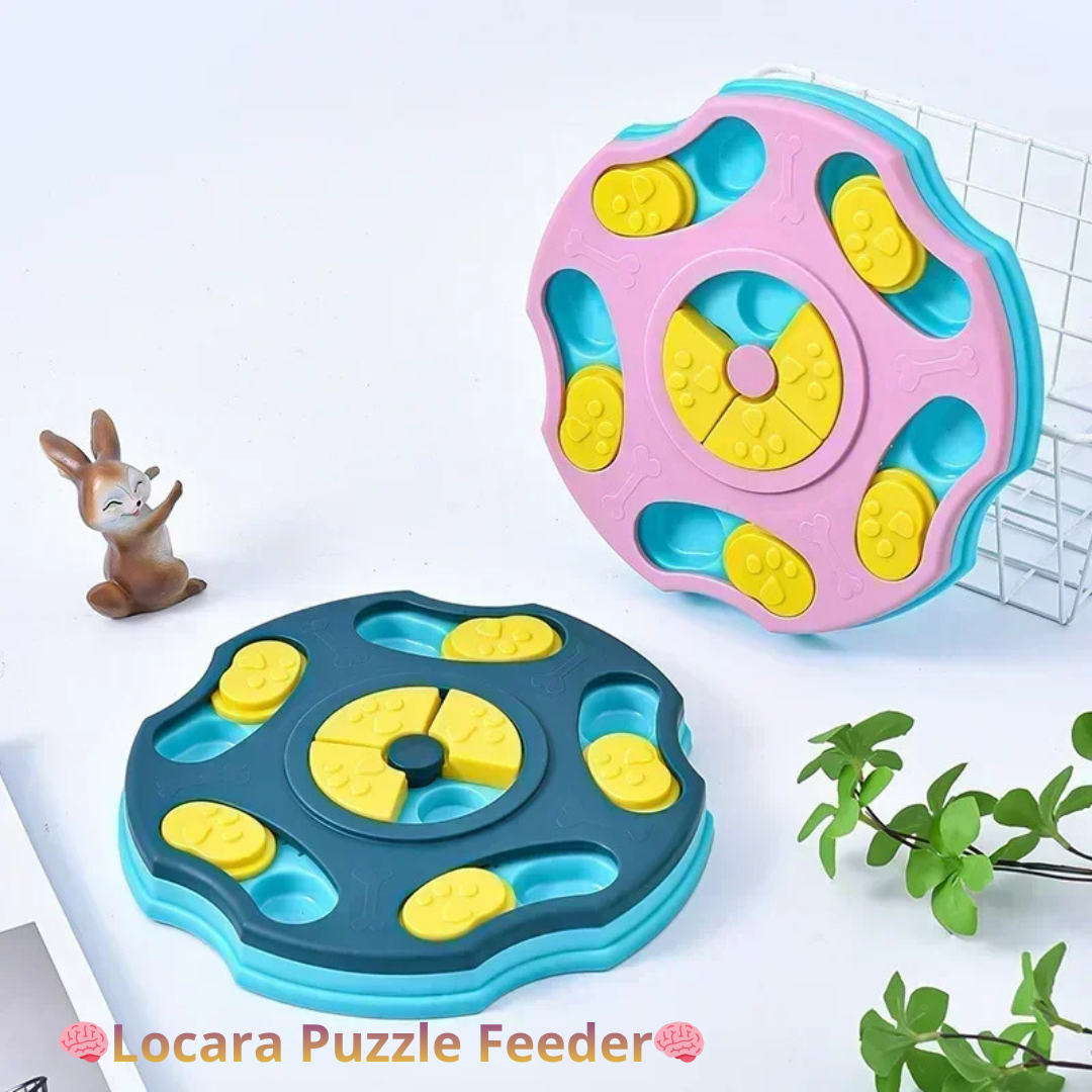 Locara Puzzle Feeder🧠 Stimulates dog intelligence🍖 Dispenses food interactively🐾 Entertainment + Training in one step