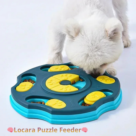 Locara Puzzle Feeder🧠 Stimulates dog intelligence🍖 Dispenses food interactively🐾 Entertainment + Training in one step