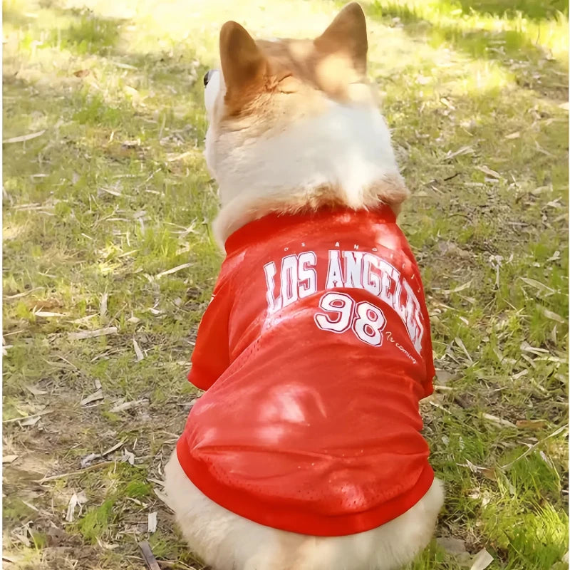 🐾CoolPaw Vest❄️Summer LA Style