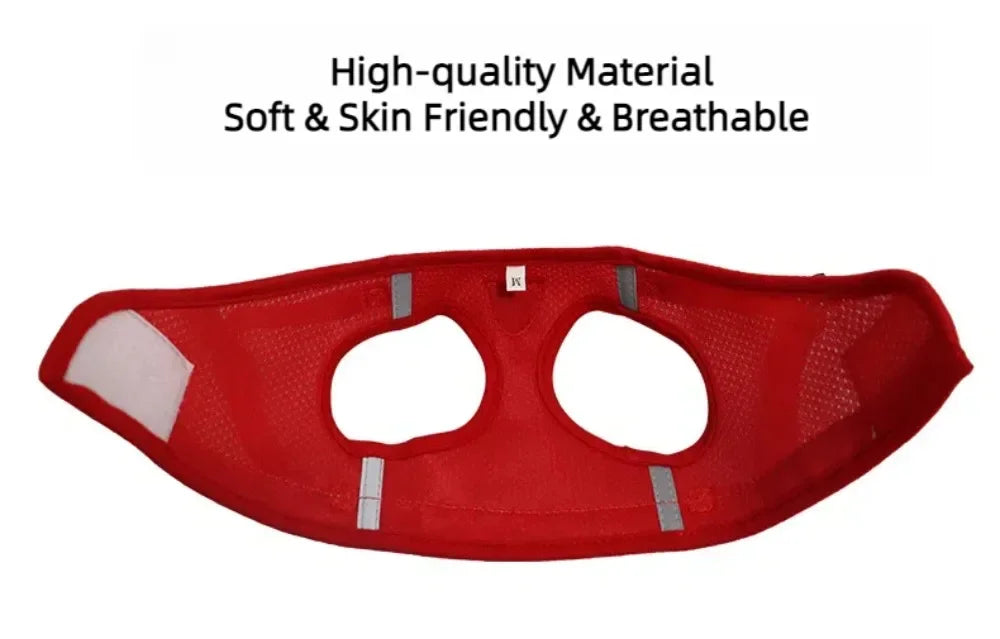 SafePaw Harness🐱🔥Durable and safe design🐾 comfortable for everyday use🐾 high stability while walking