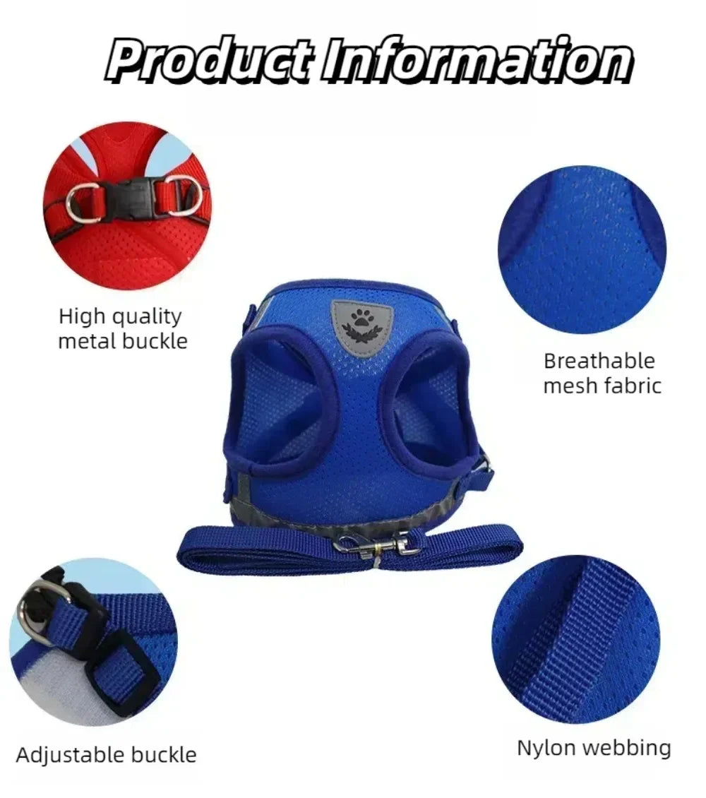 SafePaw Harness🐱🔥Durable and safe design🐾 comfortable for everyday use🐾 high stability while walking