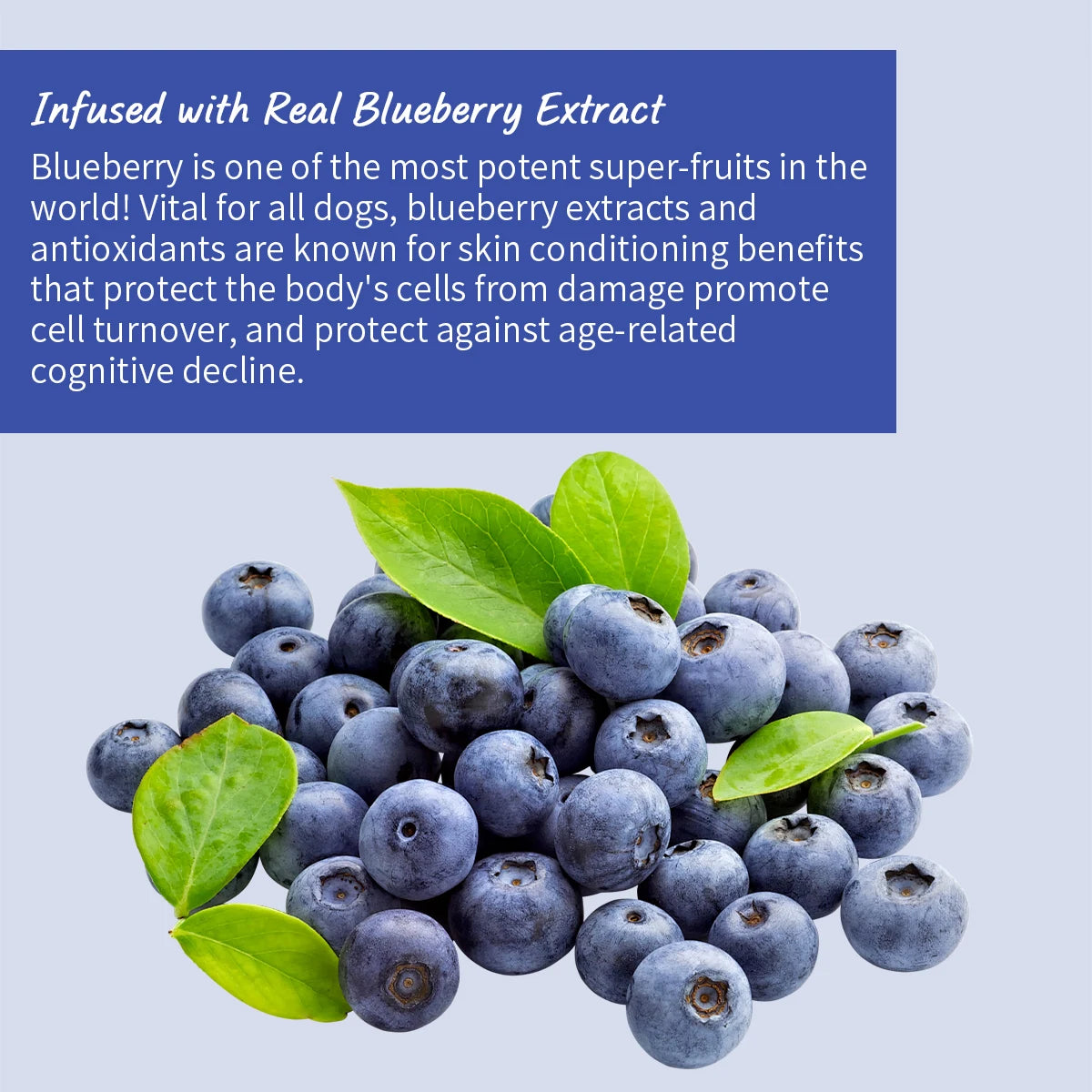 🐾FurClean Dog💧Shampoo🧼Whitening Shampoo Blueberry Brightening Formula Enhances Fur Shine Softness Pet Grooming Care✨