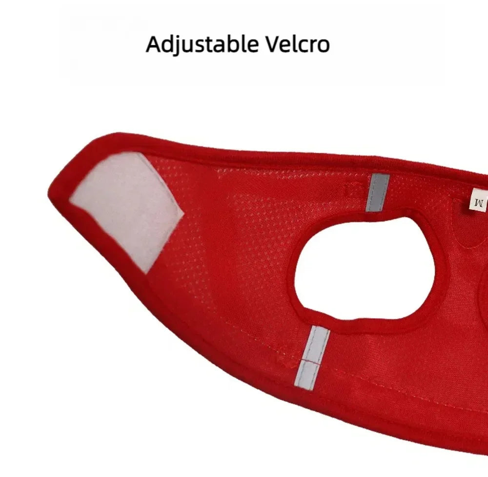 SafePaw Harness🐱🔥Durable and safe design🐾 comfortable for everyday use🐾 high stability while walking