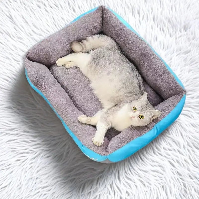 PawRock🐱🔥House bed for comfort🛏️ Soft and comfortable design✨