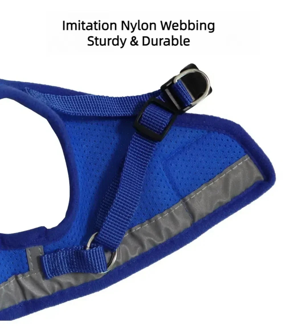 SafePaw Harness🐱🔥Durable and safe design🐾 comfortable for everyday use🐾 high stability while walking