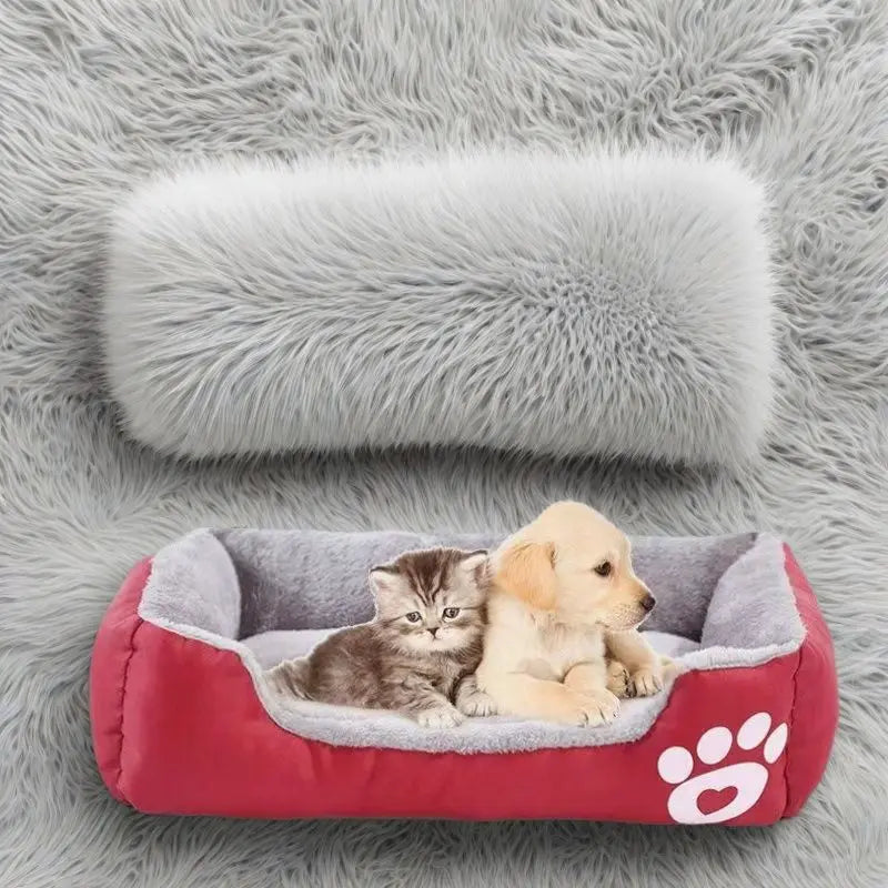 PawRock🐱🔥House bed for comfort🛏️ Soft and comfortable design✨
