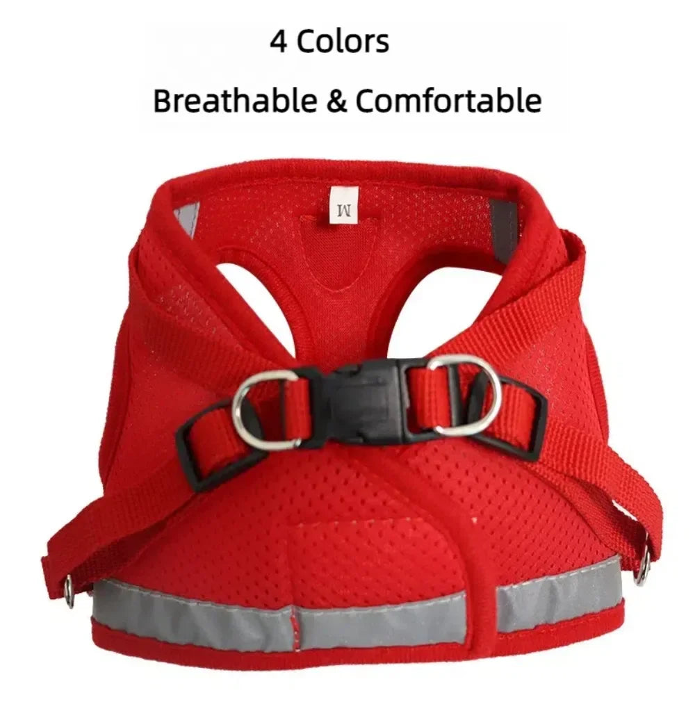 SafePaw Harness🐱🔥Durable and safe design🐾 comfortable for everyday use🐾 high stability while walking