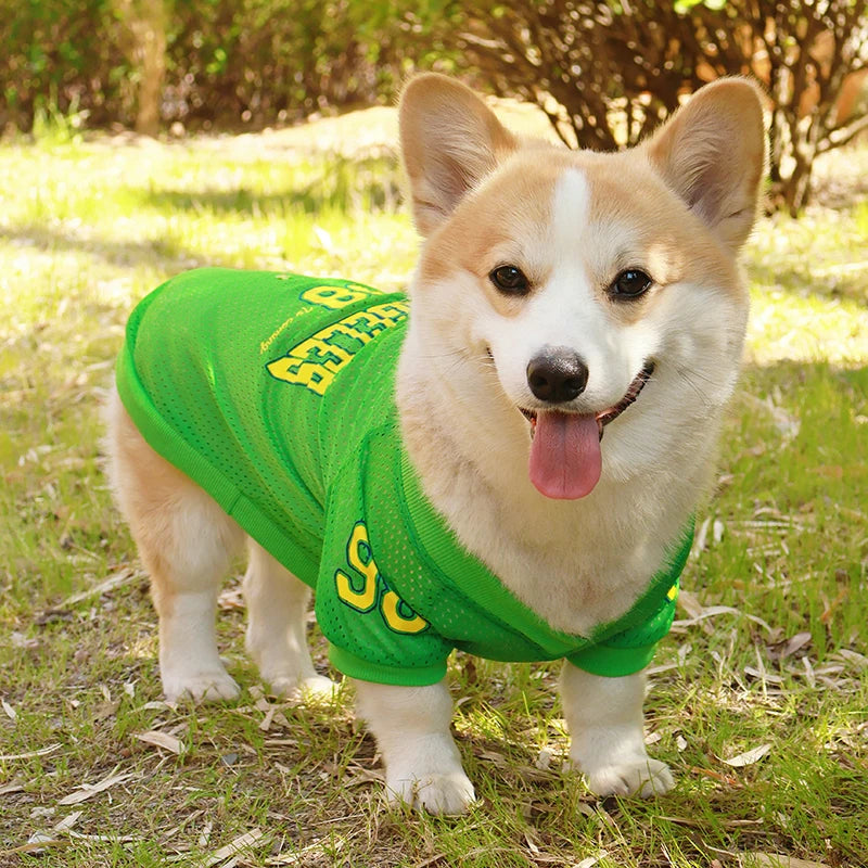 🐾CoolPaw Vest❄️Summer LA Style