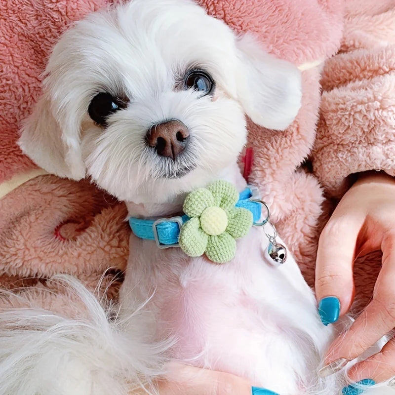 🎀Furtlé Bow- Elegant Style For your Pet ❤️🐾