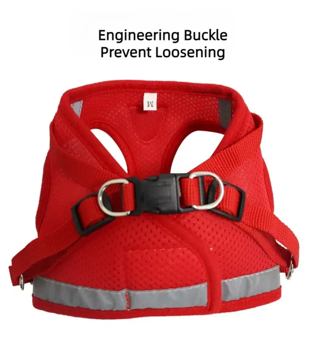 SafePaw Harness🐱🔥Durable and safe design🐾 comfortable for everyday use🐾 high stability while walking