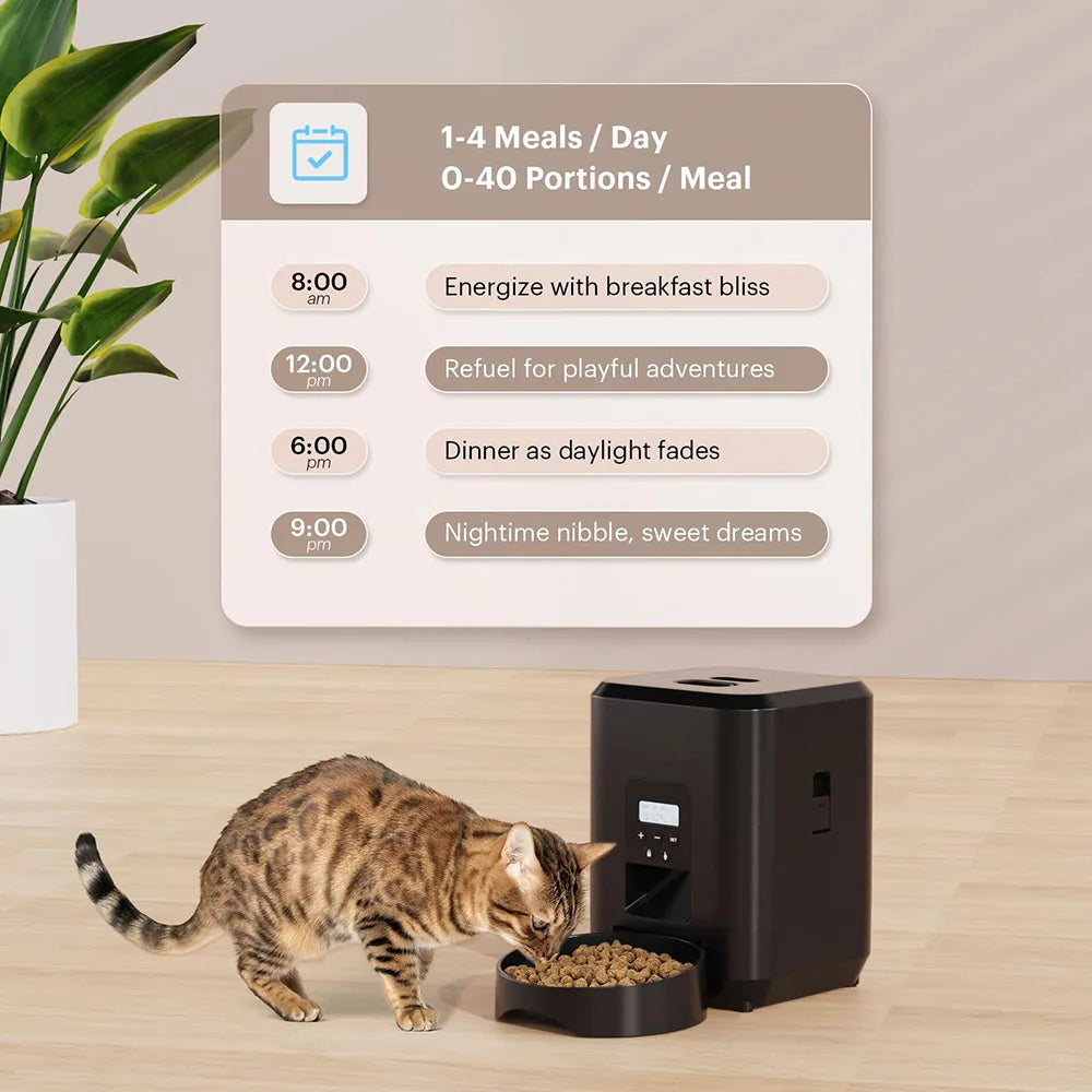 Locara SmartFeeder🐾⏱️ Automatic feeding at the specified time without daily effort