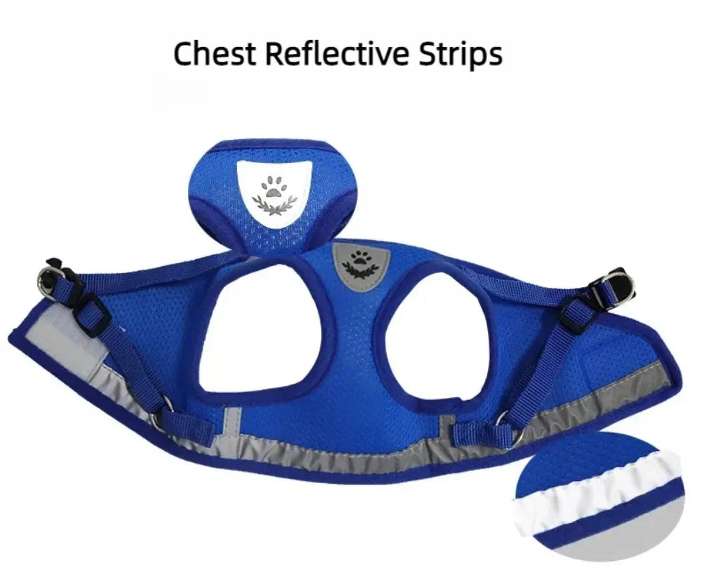 SafePaw Harness🐱🔥Durable and safe design🐾 comfortable for everyday use🐾 high stability while walking