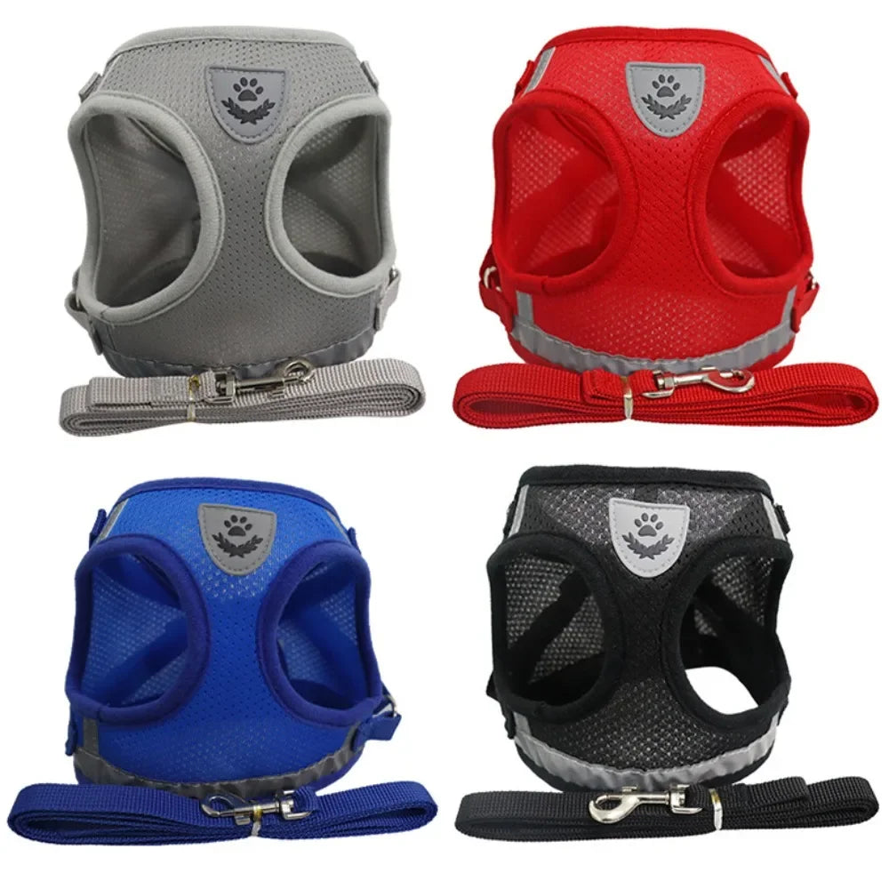 SafePaw Harness🐱🔥Durable and safe design🐾 comfortable for everyday use🐾 high stability while walking